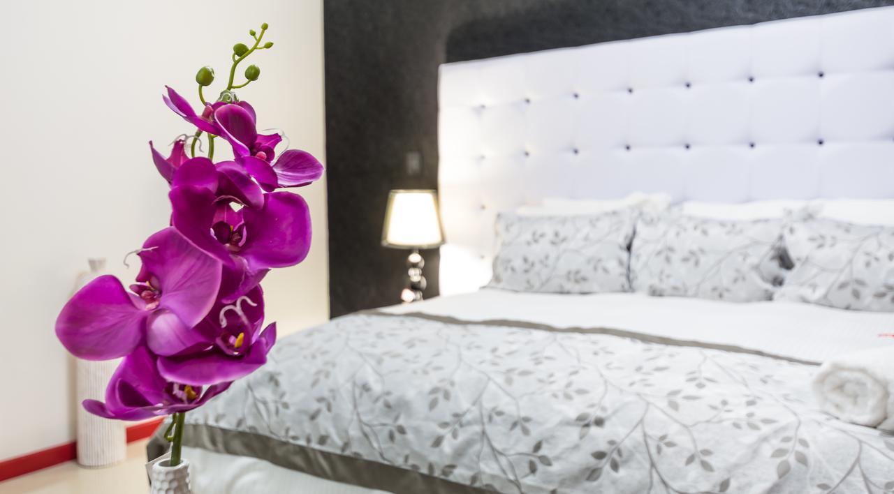 קומיטן דה דומינגז Hotel Luminus מראה חיצוני תמונה